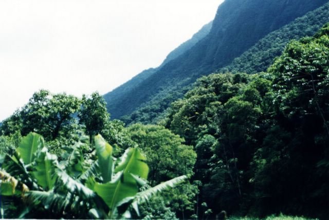 graciosa_2001_17_jpg